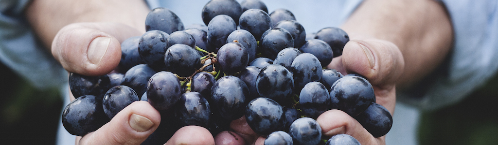 grapes